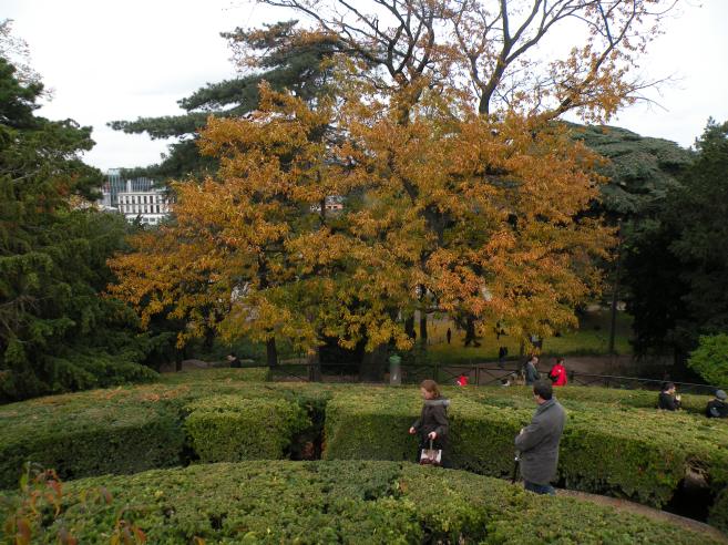  bel arbre aux couleurs d'automne